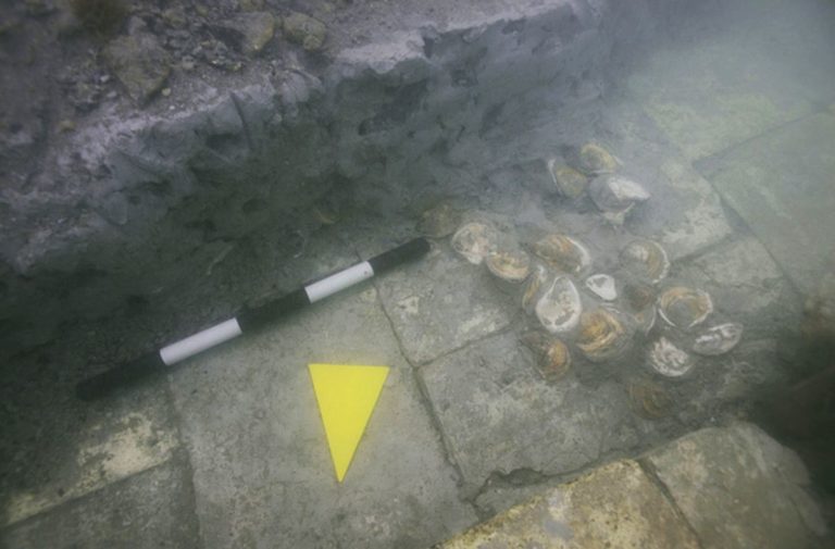 2000 Jahre alte Austernzucht in Lio Piccolo entdeckt