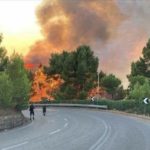 Erneut Waldbrände im Karst ausgebrochen – Autobahn A4 gesperrt