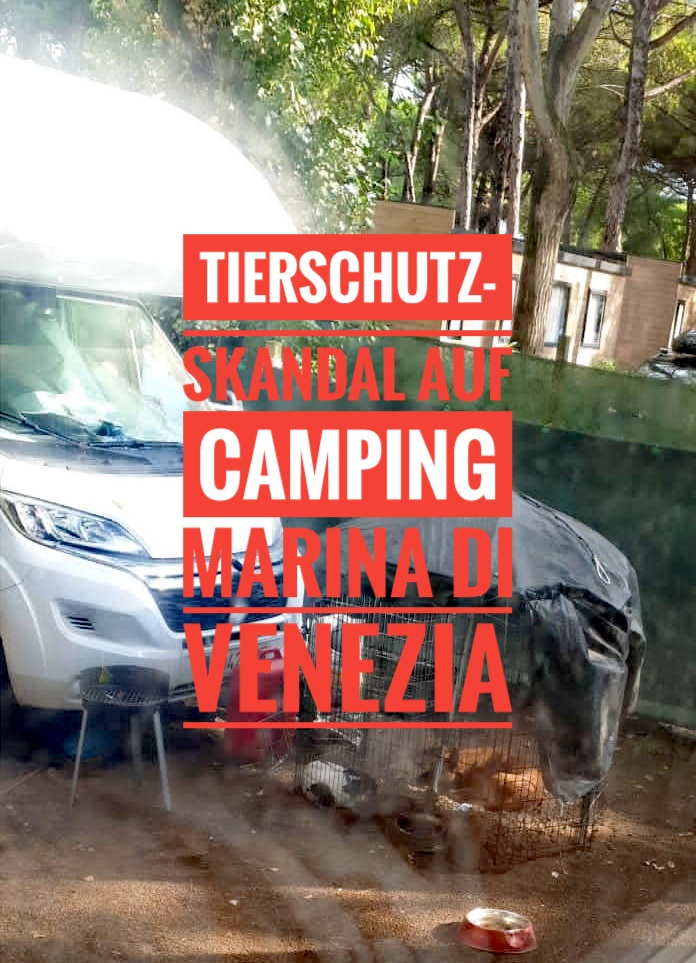 Tierschutz-Skandal auf Camping Marina di Venezia