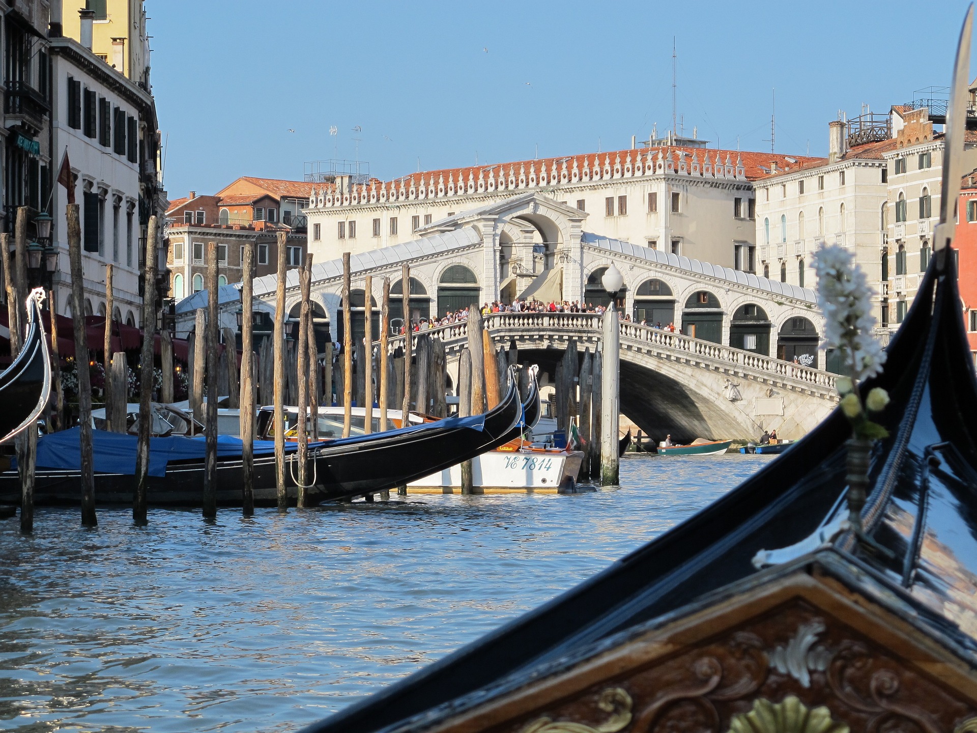 Highlights von Venedig