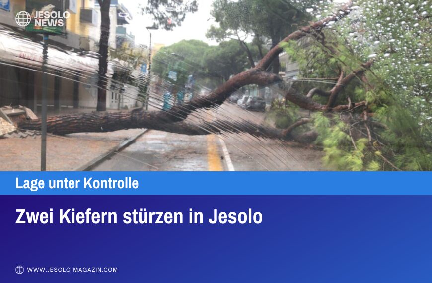 Zwei Kiefern stürzen in Jesolo