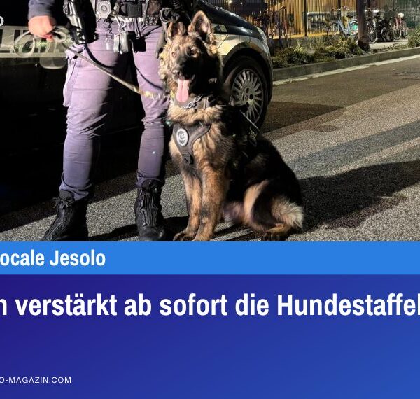 Allison verstärkt ab sofort die Hundestaffel