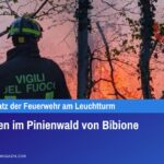 Flammen im Pinienwald von Bibione