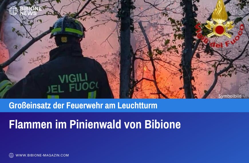 Flammen im Pinienwald von Bibione
