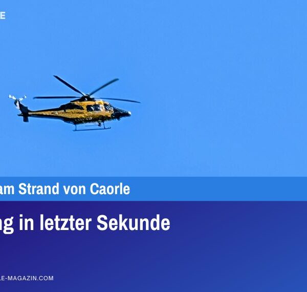Rettung in letzter Sekunde