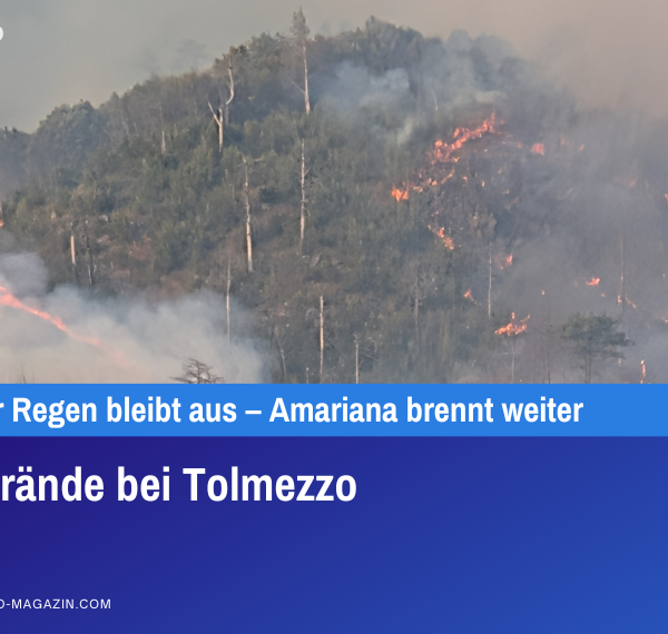 Waldbrände bei Tolmezzo