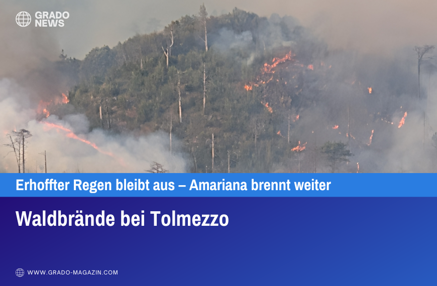 Waldbrände bei Tolmezzo